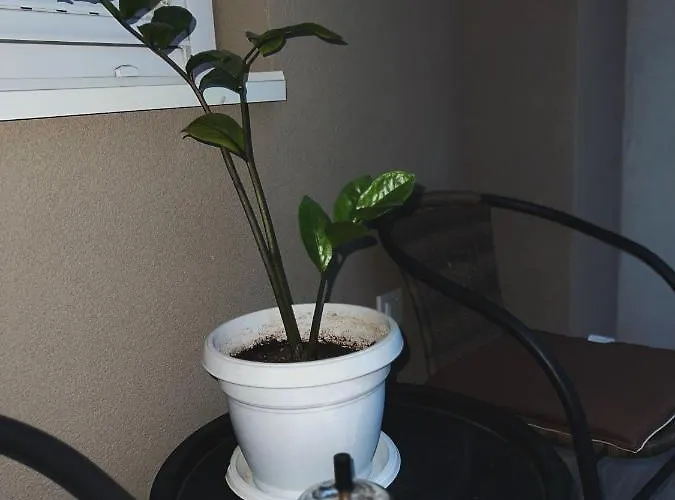 Апартаменты Luxury Nefertiti *